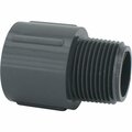 Charlotte Pipe And Foundry 1 In. Schedule 80 Male PVC Adapter PVC 08109  1000HA